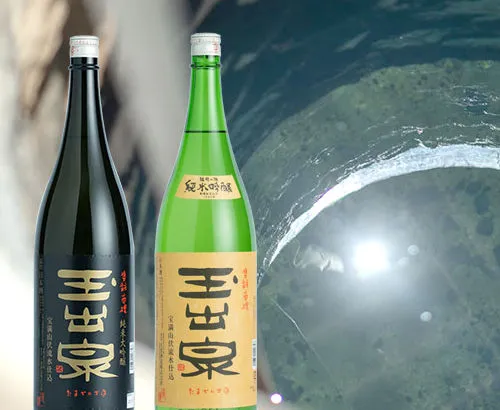 玉出泉-大賀酒造(株)